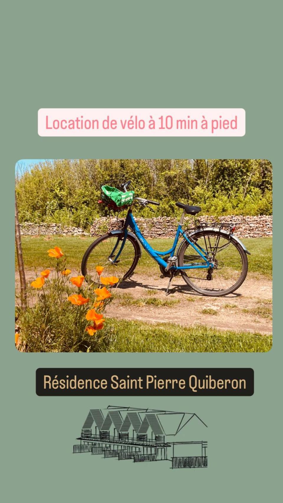 Residence Saint Pierre Quiberon Zewnętrze zdjęcie
